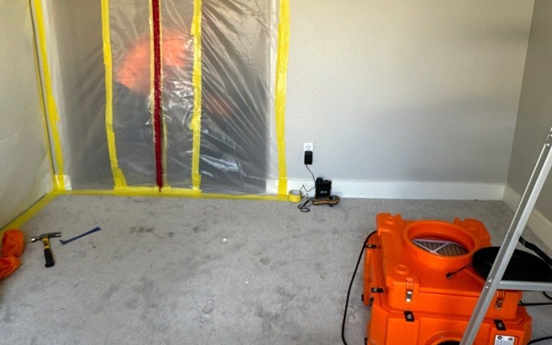 Battling Water Damage in the Desert: Buckeye Water Damage Services Leads the Charge