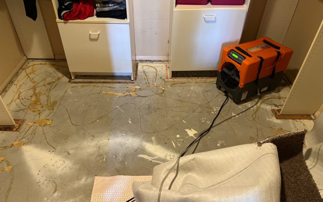 Restoring Your Home After Water Damage: Trust Buckeye Water Damage Services