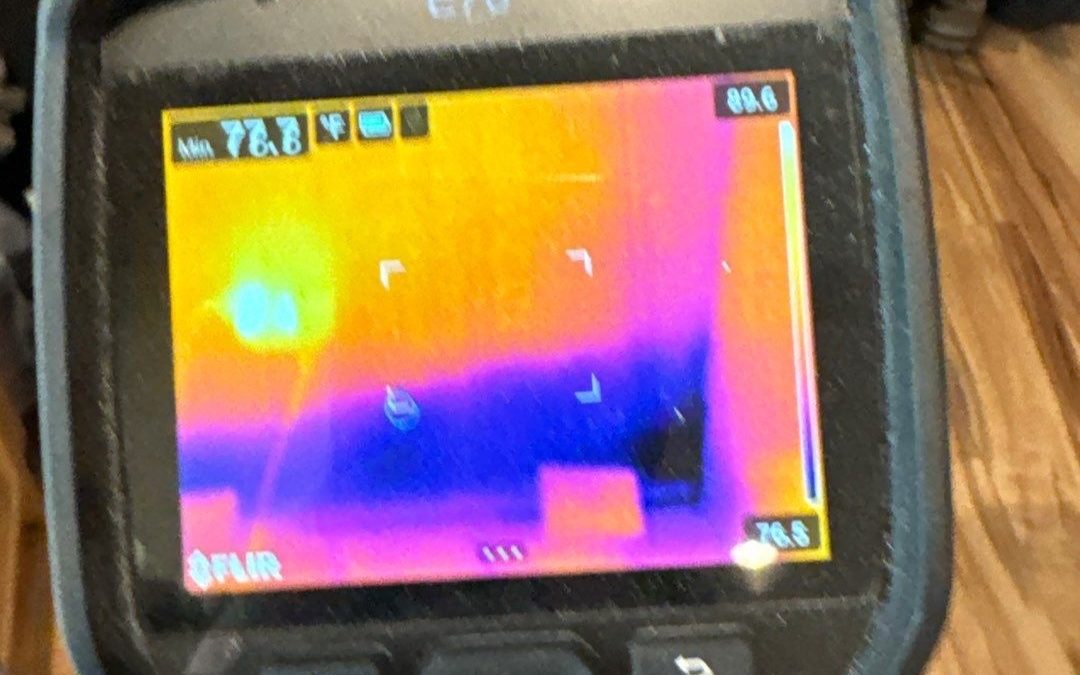 Harnessing Thermal Imaging for Superior Water Damage Detection