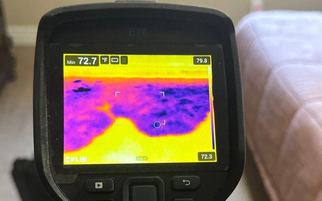 The Power of Thermal Imaging in Water Damage Dry-Out Services