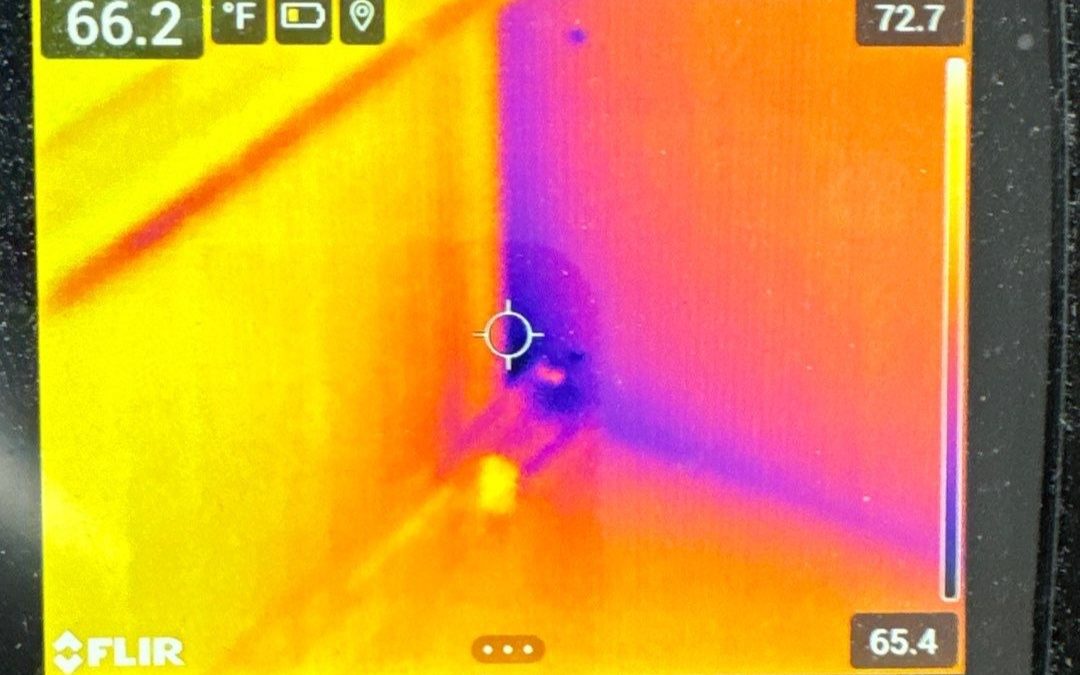 Why Thermal Imaging is Key to Water Damage Restoration at Buckeye Water Damage Services