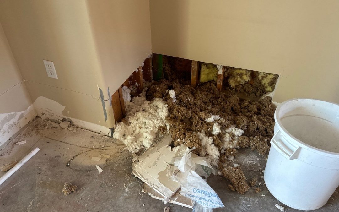 Why Buckeye Water Damage Services Uses Flood Cuts During the Dry-Out Process