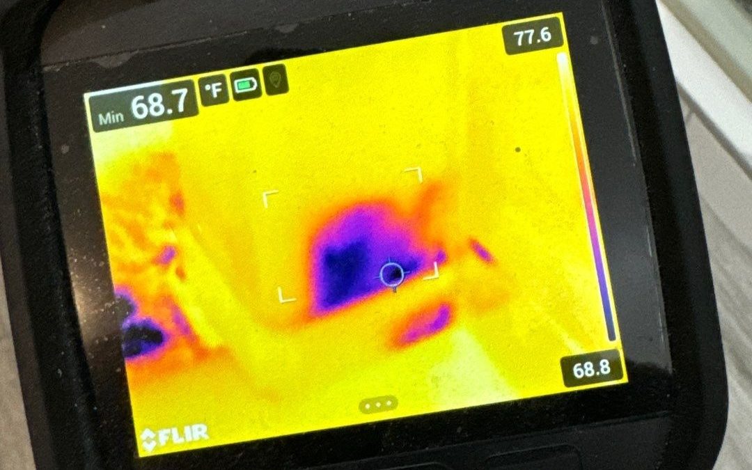 Advanced Water Damage Detection with Thermal Imaging