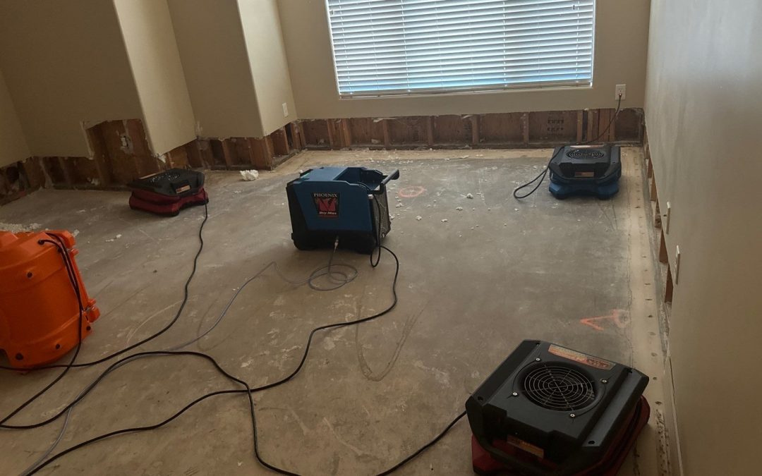 Professional Dry-Out Services After Water Damage in Buckeye, AZ