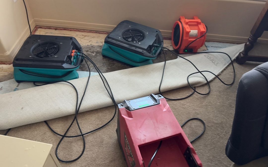 Buckeye Water Damage Services Uses Top-of-the-Line Equipment for Water Intrusion Dry-Outs