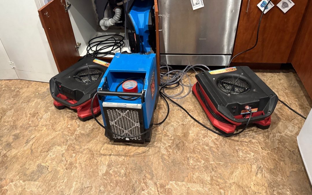 Expert Water Damage Restoration in Buckeye, AZ