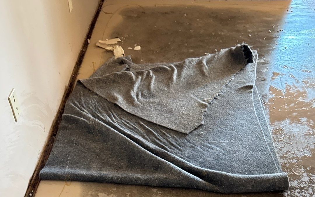 Removing Carpet and Pad After a Flood in Buckeye