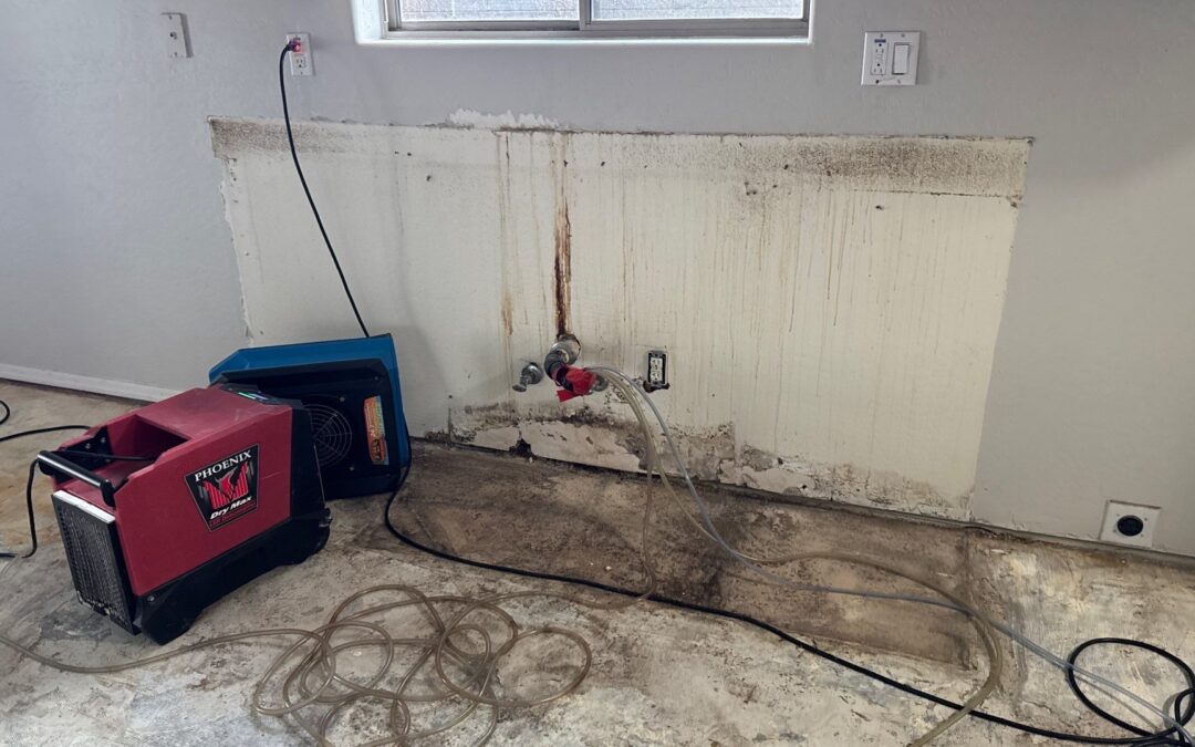 Why Acting Quickly Is Crucial After Water Damage in Your Buckeye, AZ Home